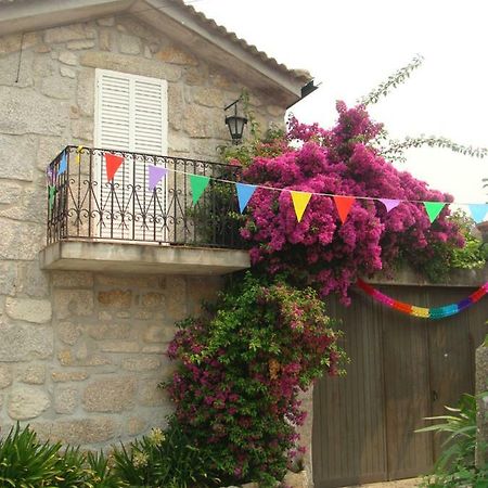 Casa Das Magnolias De Igarei Dış mekan fotoğraf